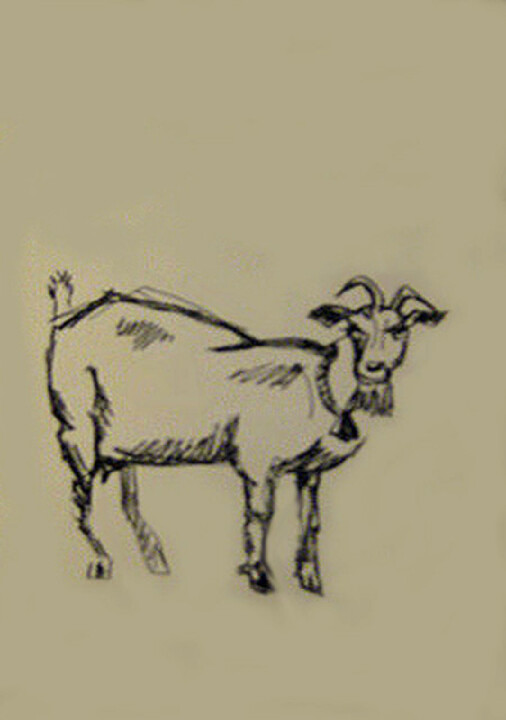Dibujo titulada "Goat" por Carolyn   A. Debnam, Obra de arte original, Tinta Montado en Bastidor de camilla de madera