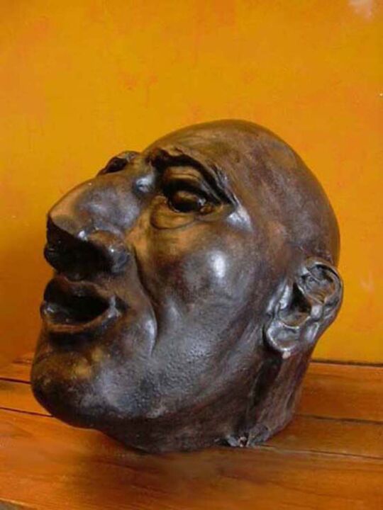 Sculpture intitulée "The Nose" par Carolyn   A. Debnam, Œuvre d'art originale, Coulage