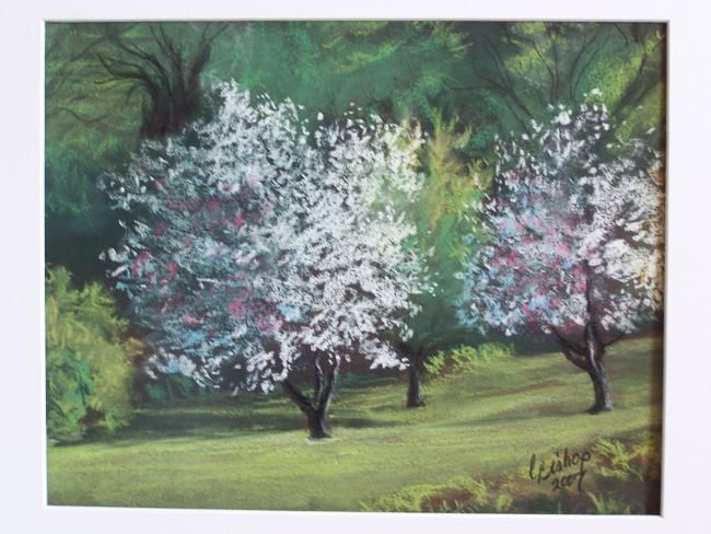 Schilderij getiteld "Spring on Franklin…" door Carolyn Bishop, Origineel Kunstwerk, Olie