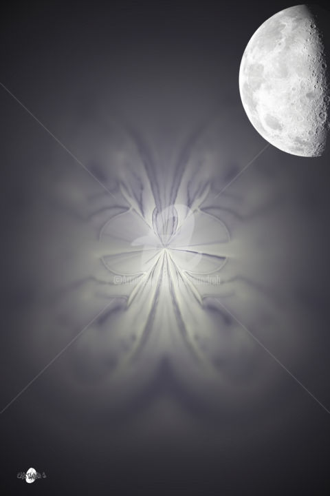 Arts numériques intitulée "Ciel de lune" par Cartsandra B, Œuvre d'art originale, Peinture numérique