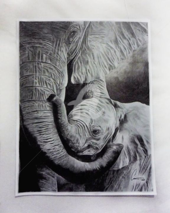 Drawing titled "El sentido de la le…" by Carolina Velazquez, Original Artwork, Pencil