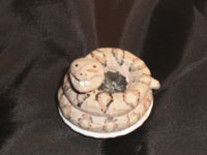 Sculptuur getiteld "Rattle Snake - Golf…" door Patric Herber, Origineel Kunstwerk