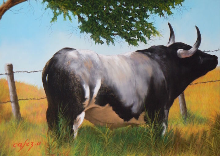 Painting titled "TORO CAMPO" by Casez, Original Artwork, Pastel