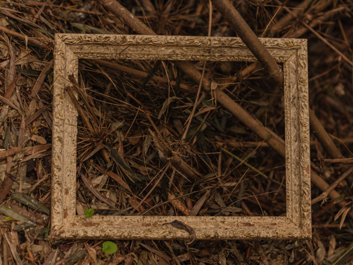 Photographie intitulée "Herança para humani…" par Cassiano Santos, Œuvre d'art originale, Photographie numérique