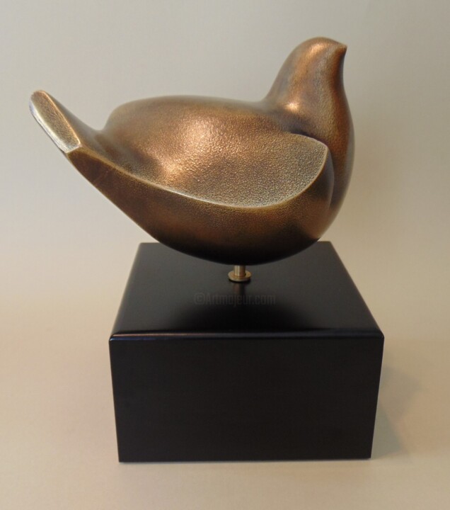 Sculpture titled "ave" by Carlos Castanedo, Original Artwork, Resin