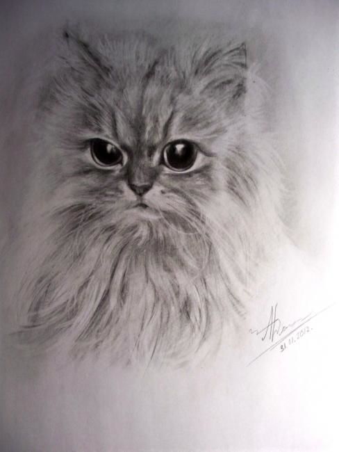 Drawing titled "Kitty" by Alexandra Dergach, Original Artwork