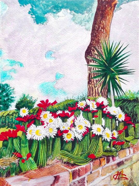 Картина под названием "Fiori di Cactus in…" - Cataldo Motolese, Подлинное произведение искусства, Акрил