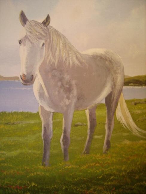 Malarstwo zatytułowany „connemara pony 2” autorstwa Cathal O Malley, Oryginalna praca