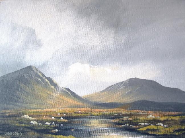 Painting titled "connemara sheep june" by Cathal O Malley, Original Artwork