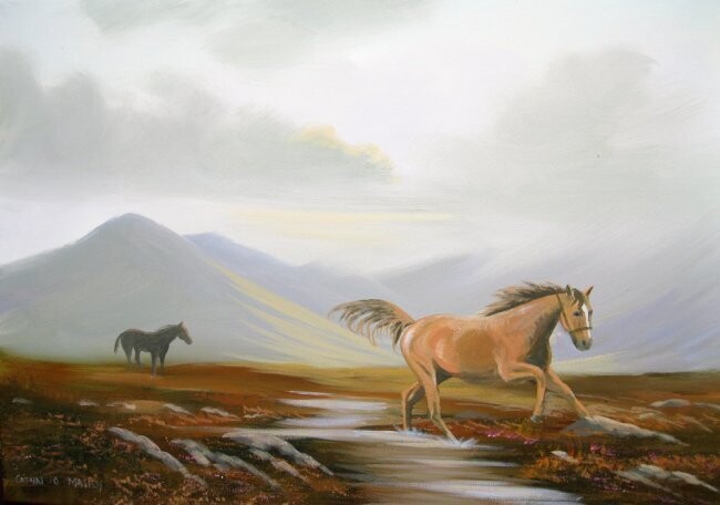 Painting titled "maam horses" by Cathal O Malley, Original Artwork