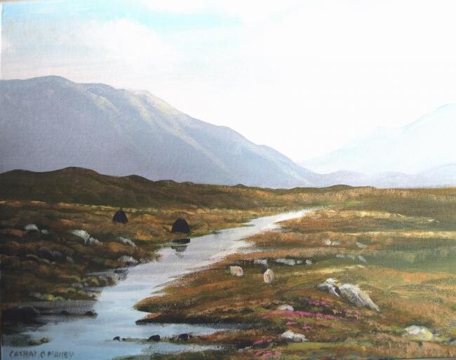 Painting titled "connemara bog light" by Cathal O Malley, Original Artwork