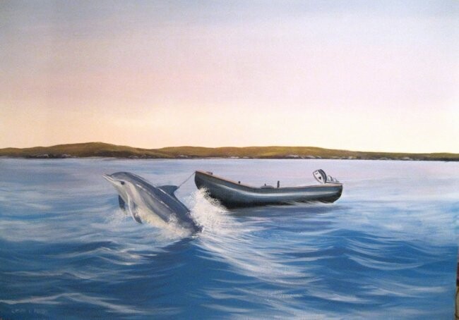 Painting titled "bottlenose dolphin…" by Cathal O Malley, Original Artwork