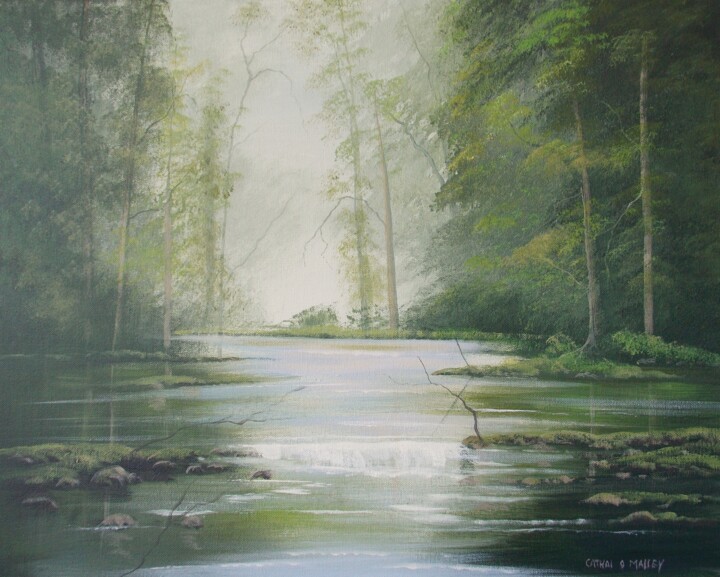 绘画 标题为“ballinahinch river” 由Cathal O Malley, 原创艺术品, 丙烯