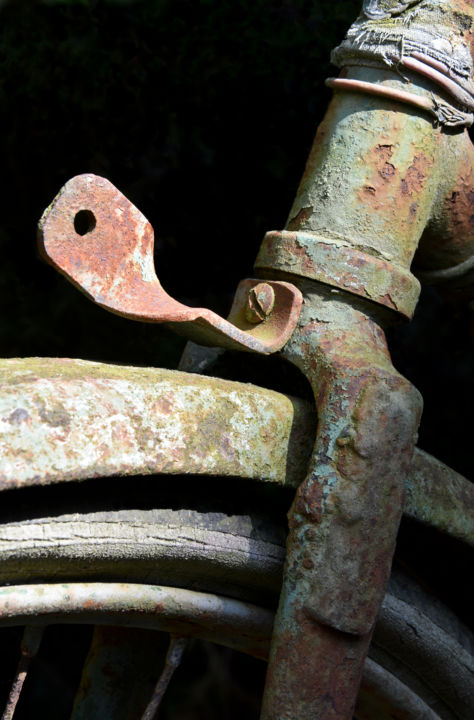 Fotografia intitolato "Jardin du brocanteu…" da Catherine Boutin, Opera d'arte originale, Fotografia digitale