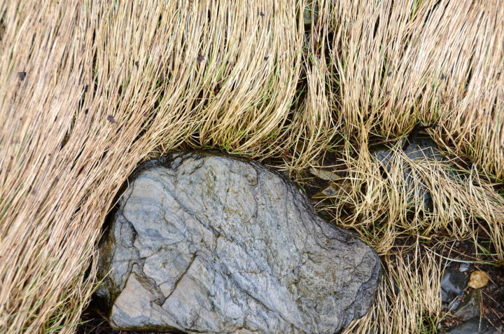 Photographie intitulée "Loch-Leven.Herbes e…" par Catherine Boutin, Œuvre d'art originale, Photographie numérique