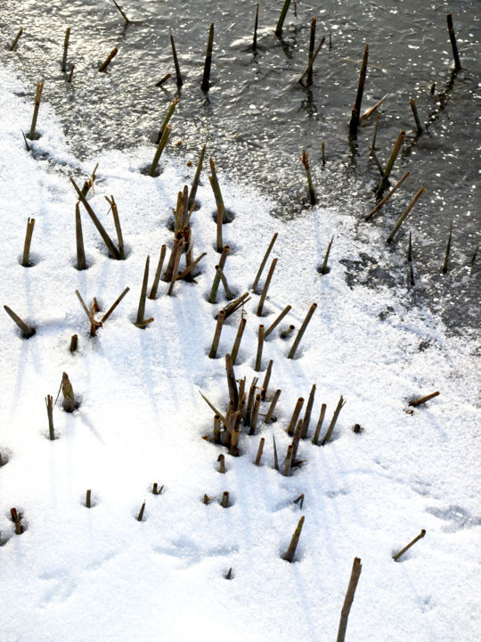 Photographie intitulée "Au-bord-du-lac-gelé…" par Catherine Boutin, Œuvre d'art originale, Photographie numérique