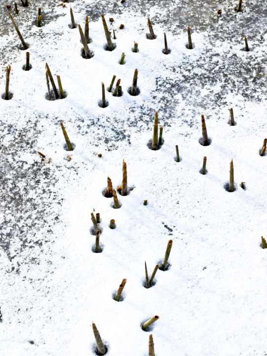 Photographie intitulée "Au bord du lac gelé…" par Catherine Boutin, Œuvre d'art originale, Photographie numérique
