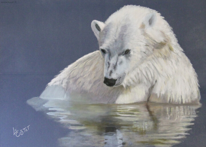 Painting titled "L' ours polaire. Qu…" by Catherine Costet (Lccat), Original Artwork, Pastel