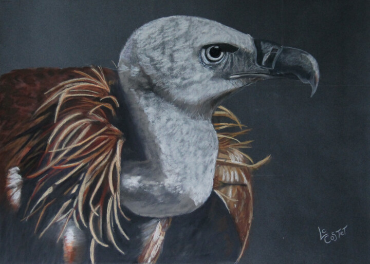 Painting titled "Le vautour" by Catherine Costet (Lccat), Original Artwork, Pastel