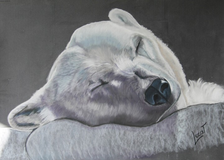 Painting titled "La sieste de l'ours…" by Catherine Costet (Lccat), Original Artwork, Pastel