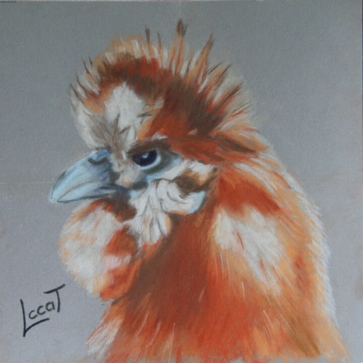 Peinture intitulée "Poule Soie" par Catherine Costet (Lccat), Œuvre d'art originale, Pastel