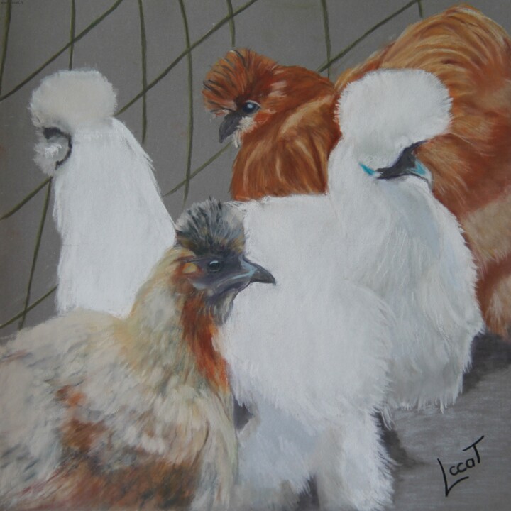 Painting titled "Les poules Soie de…" by Catherine Costet (Lccat), Original Artwork, Pastel