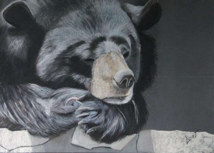 "La sieste de l'ours…" başlıklı Tablo Catherine Costet (Lccat) tarafından, Orijinal sanat, Pastel