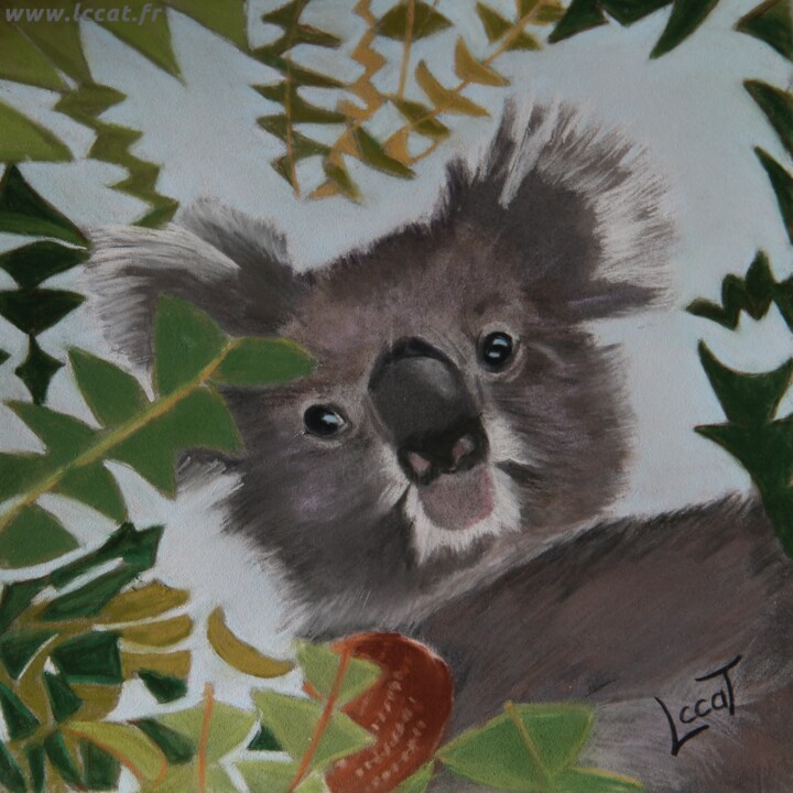 Painting titled "Koala" by Catherine Costet (Lccat), Original Artwork, Pastel