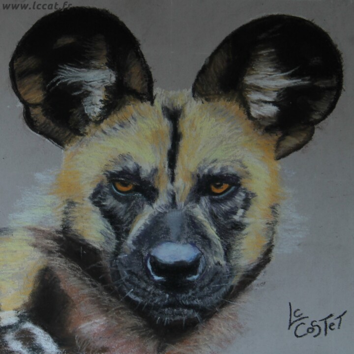Painting titled "lycaon 2" by Catherine Costet (Lccat), Original Artwork, Pastel