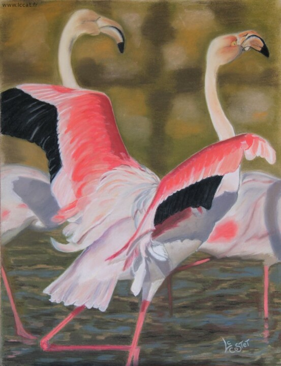 Painting titled "Flamand rose" by Catherine Costet (Lccat), Original Artwork, Pastel