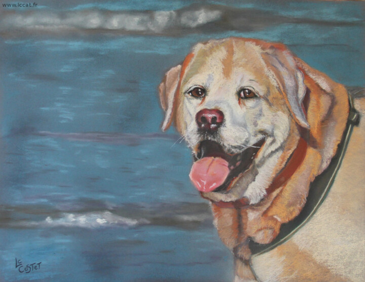 Painting titled "Syrus" by Catherine Costet (Lccat), Original Artwork, Pastel