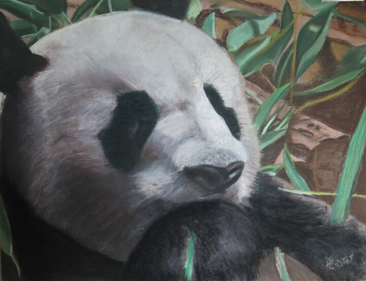 Painting titled "Le panda" by Catherine Costet (Lccat), Original Artwork, Pastel