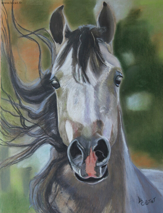 Painting titled "Cheval" by Catherine Costet (Lccat), Original Artwork, Pastel