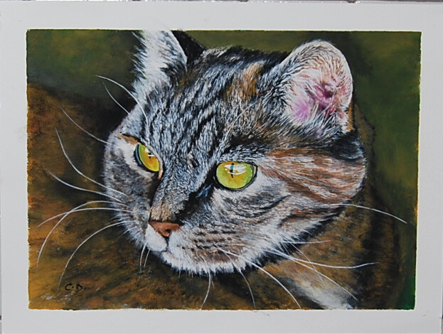 Painting titled "chat-vic.png" by Catherine Digue - Turpin, Original Artwork, Gouache