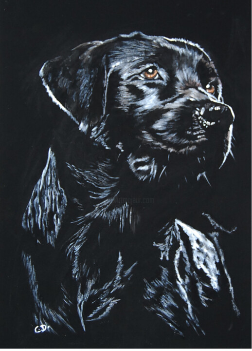 Painting titled "labrador.png" by Catherine Digue - Turpin, Original Artwork, Gouache