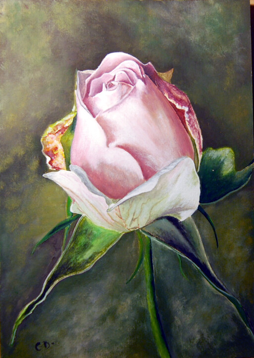 Peinture intitulée "rosa-rosa-rosam2.png" par Catherine Digue - Turpin, Œuvre d'art originale