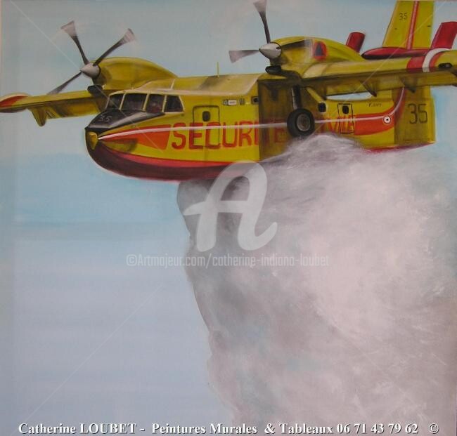 Schilderij getiteld "Canadair full action" door Catherine Indiana Loubet, Origineel Kunstwerk, Olie