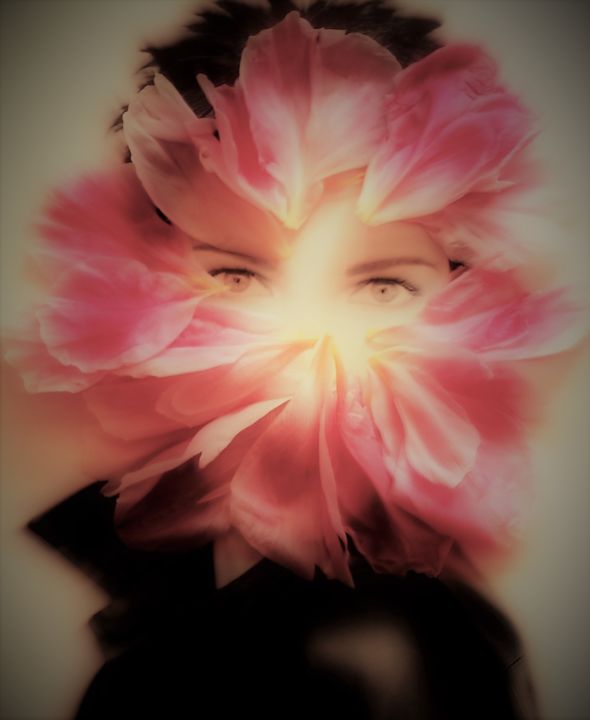 Fotografia intitulada "Rose pivoine" por Catherine Jubert Asencio, Obras de arte originais, Fotografia digital