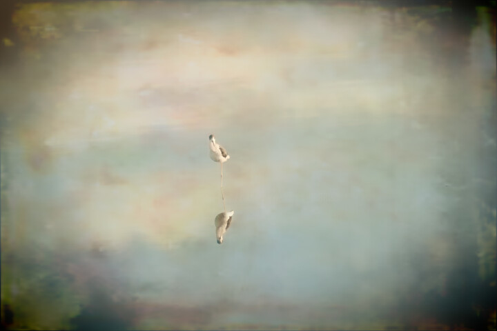 Photography titled "Between Heaven and…" by Catherine Lefrancq, Original Artwork, Analog photography Mounted on Aluminium