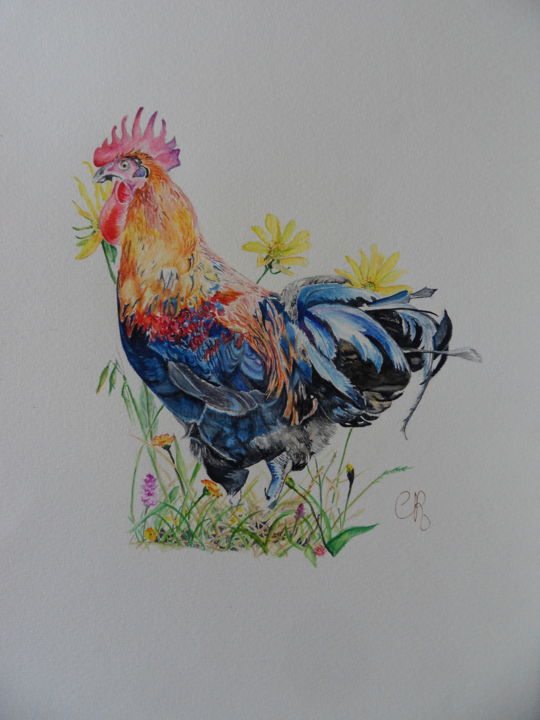 Painting titled "aquarelle de coq" by Catherine Reybard, Original Artwork, Watercolor