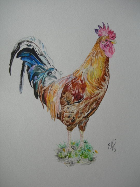 Schilderij getiteld "coq" door Catherine Reybard, Origineel Kunstwerk, Aquarel