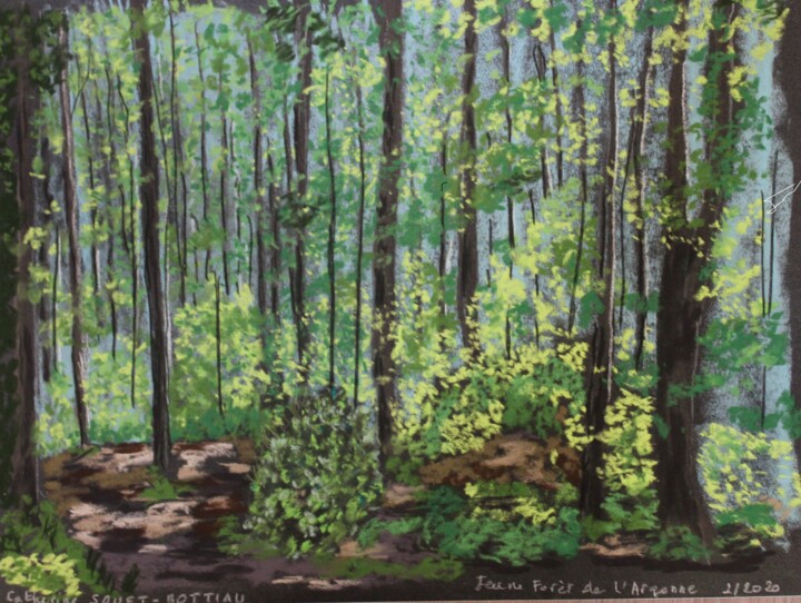Drawing titled "Forêt de l'ARGONNE" by Catherine Souet Bottiau, Original Artwork, Pastel