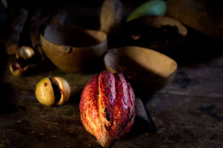 Photography titled "Cacao et noix de mu…" by Catherine Toiron, Original Artwork