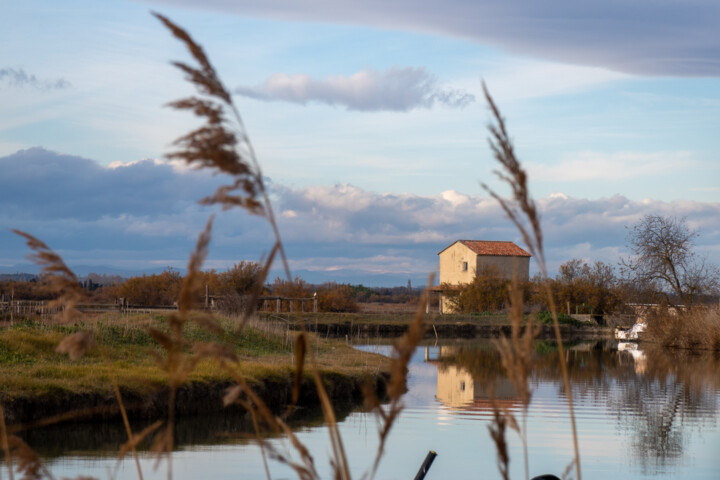 Photographie intitulée "Petite Camargue" par Catherine Toiron, Œuvre d'art originale, Photographie numérique