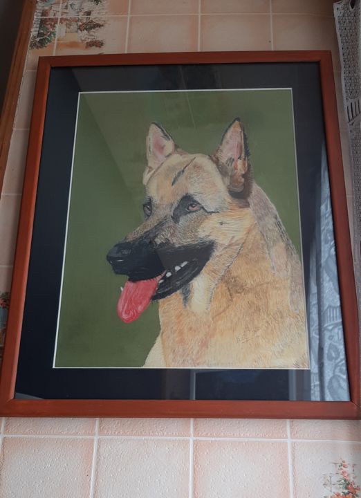 Painting titled "berger allemand" by Catherine Willaumez, Original Artwork, Pastel