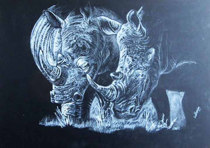 Dessin intitulée "Our precious Rhinos" par Catherine, Œuvre d'art originale, Crayon
