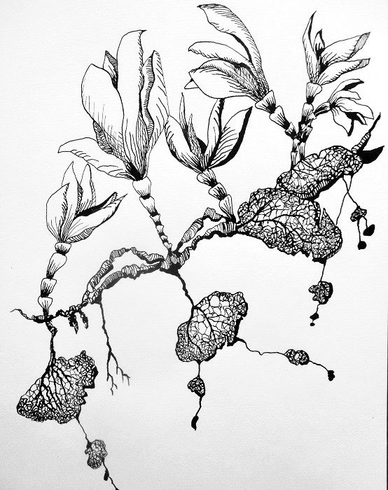 Drawing titled "tuberculoide1" by Catherine Cazaentre, Original Artwork