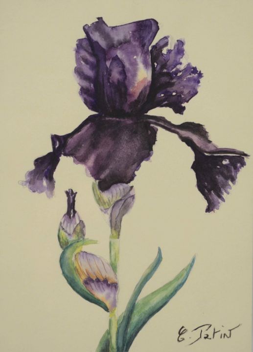 Pintura titulada "Iris" por Peinturecath, Obra de arte original, Acuarela Montado en Vidrio