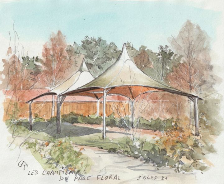Painting titled "Les champignons de…" by Catherine Rossi, Original Art, Watercolor