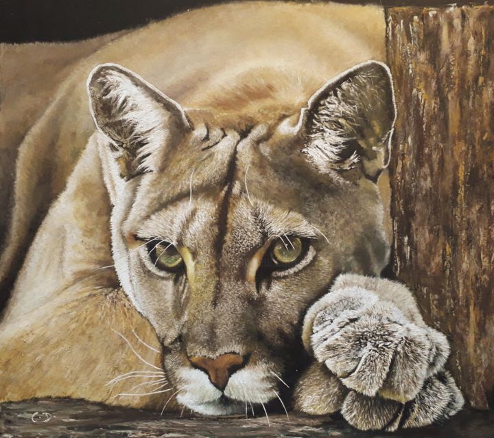 Puma Méditatif, Pintura por Digue - Turpin | Artmajeur